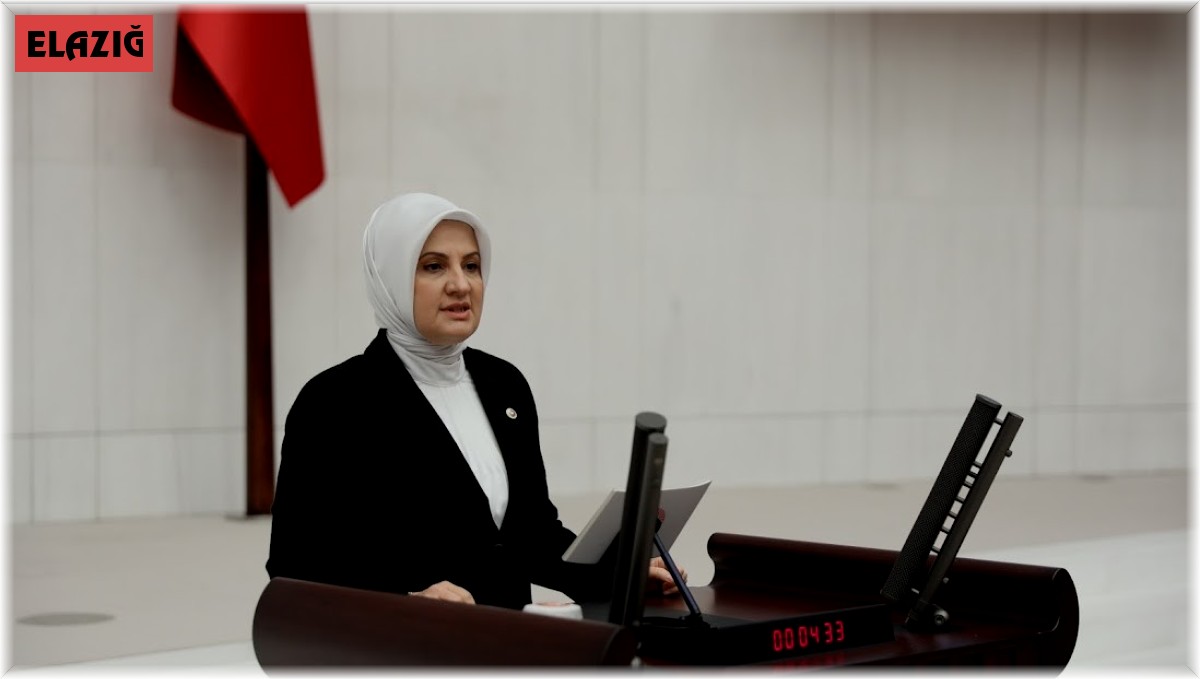 AK Parti Elazığ Milletvekili Balık muhalefete yüklendi