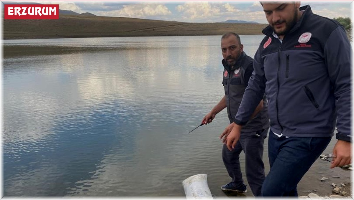 Akarsu ve göletlere 48 bin balık yavrusu bırakıldı