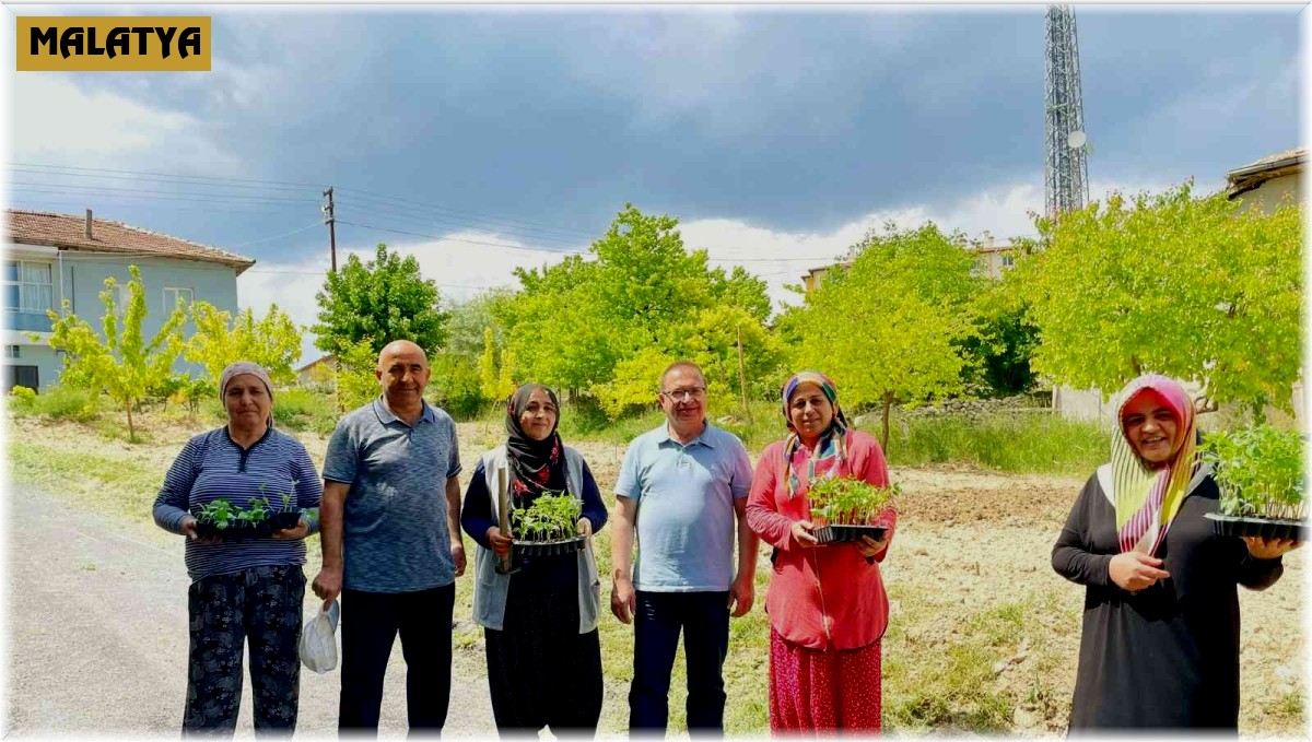 Akçadağ'da 100 bin sebze fidesi dağıtıldı