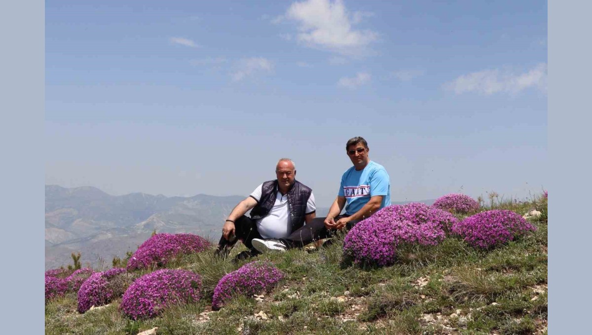 Akdağ'ın zirvesinde fuşya renkli görsel şölen