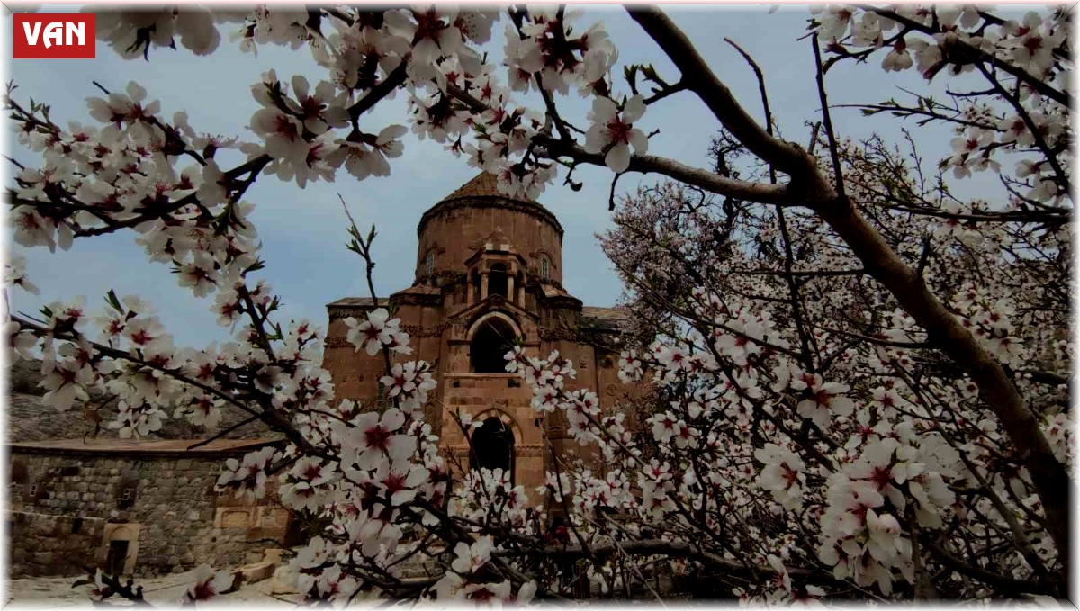 Akdamar Adası renk cümbüşüne büründü