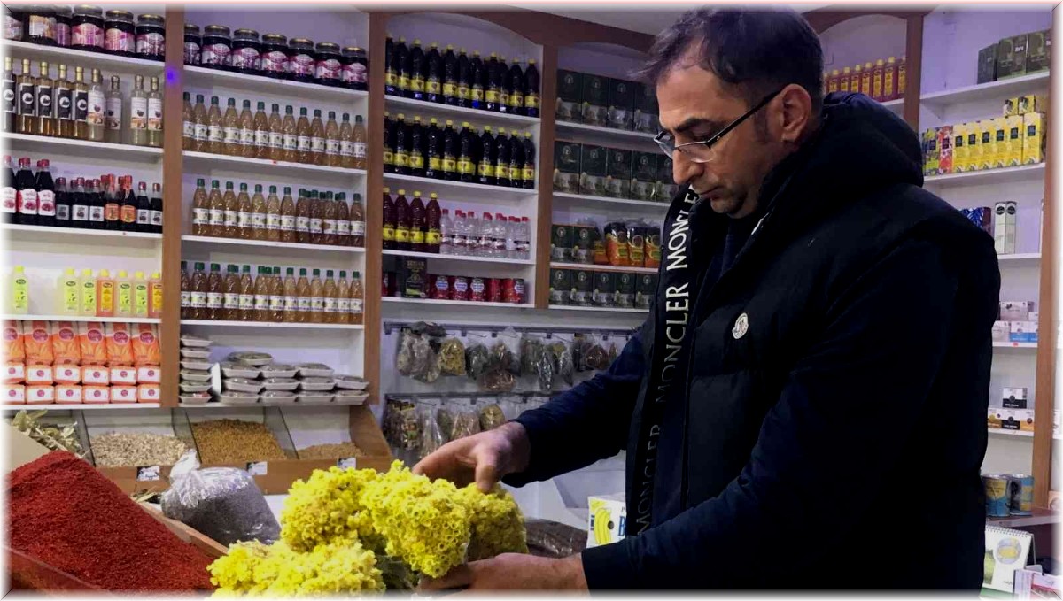 Akdeniz'deki yangınlar bitki çaylarının fiyatını artırdı