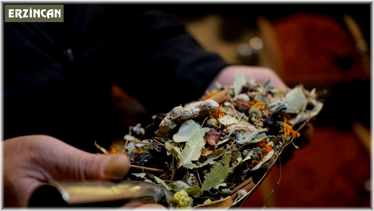 Aktarlarda sonbahar hareketliliği