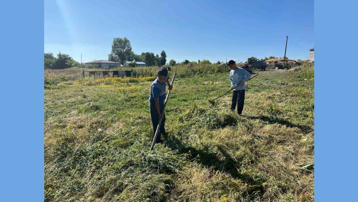 Akyaka'da ot biçimi başladı