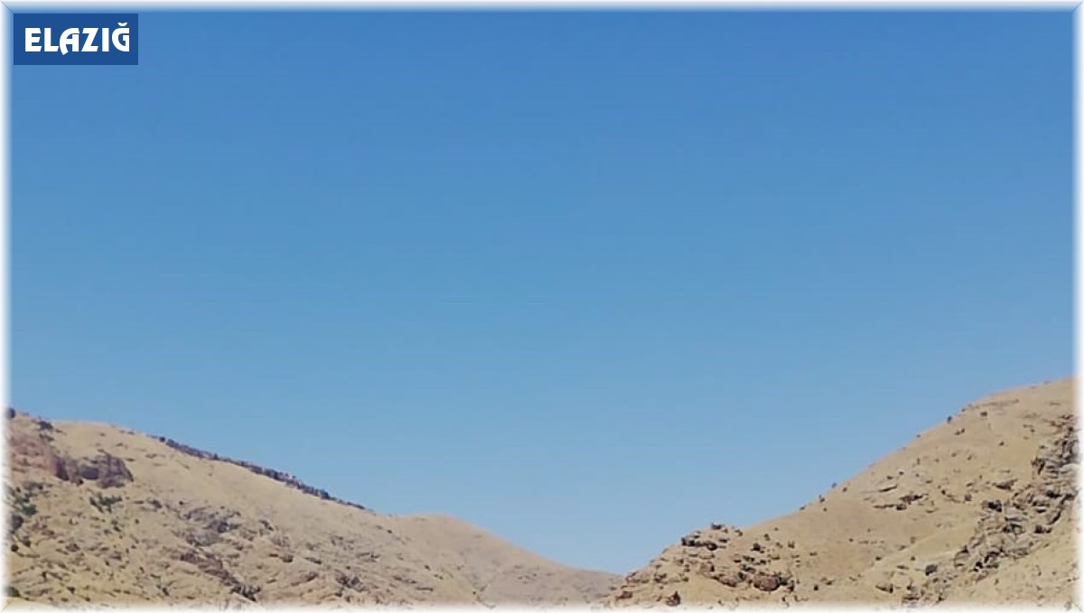 Alabalık üretim tesisinde çalışan kadın mühendis, tekneden suya düşüp kayboldu