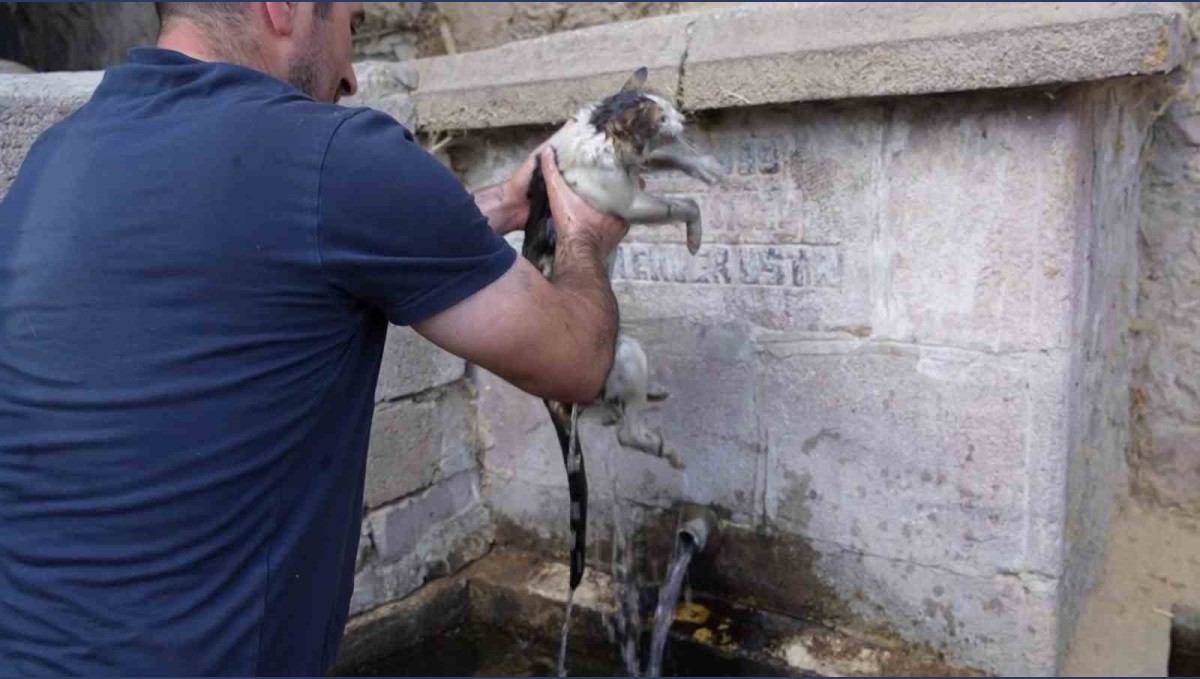 Alevlerin içinde kurtardığı kediye adeta can suyu verdi