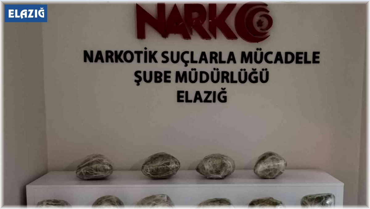 Alex kokladı, tırın dorsesinden 17 kilo 650 gram uyuşturucu çıktı