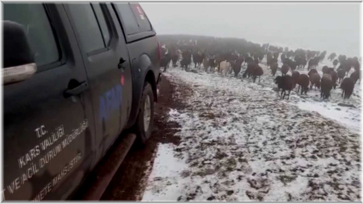 Allahuekber Dağları'nda kar ve tipide mahsur kalan iki çoban kurtarıldı