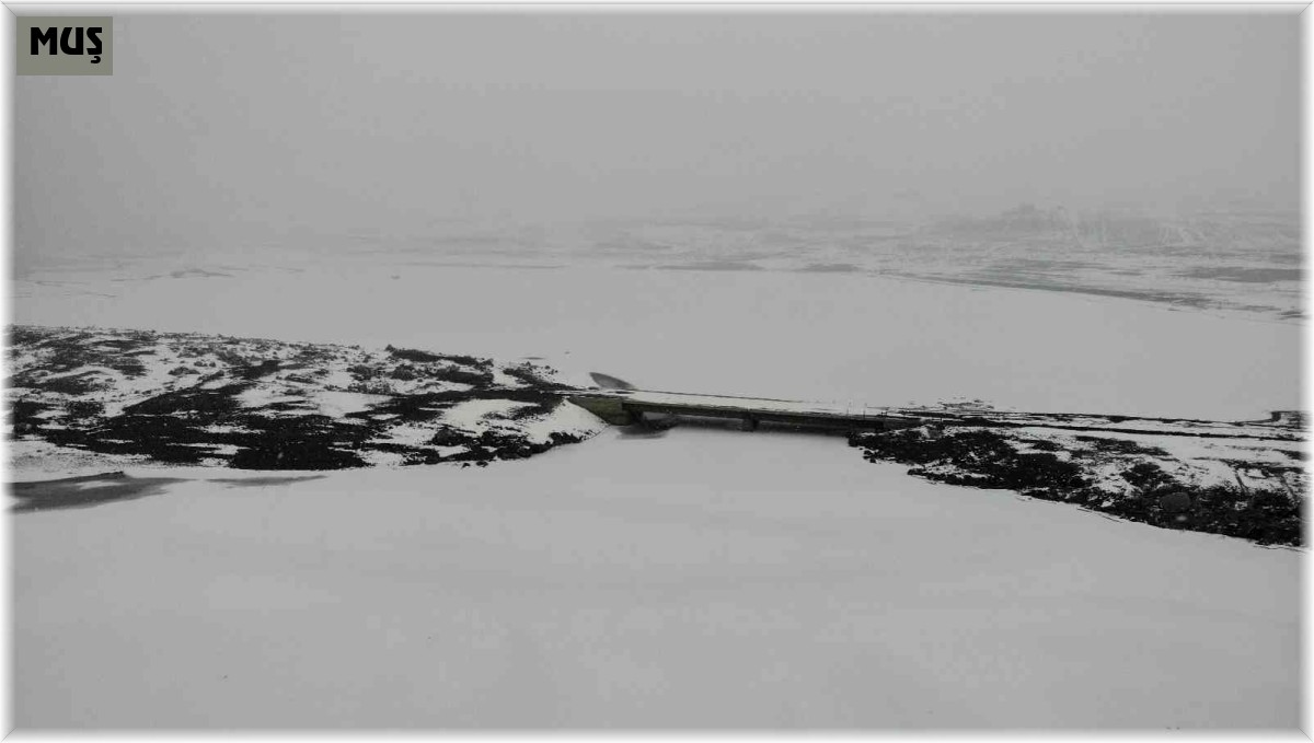 Alparslan-1 Barajı'nın yüzeyi kısmen dondu