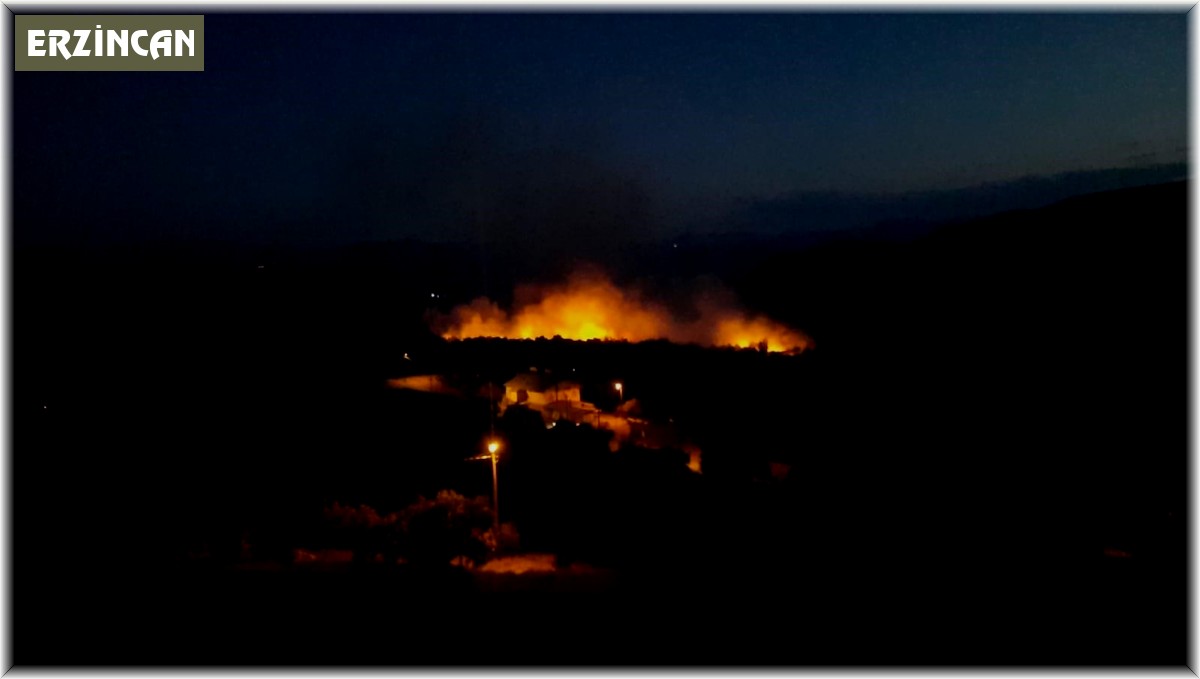 Altıntaş köyünde çıkan örtü yangını Anagold çalışanlarının da müdahalesiyle söndürüldü