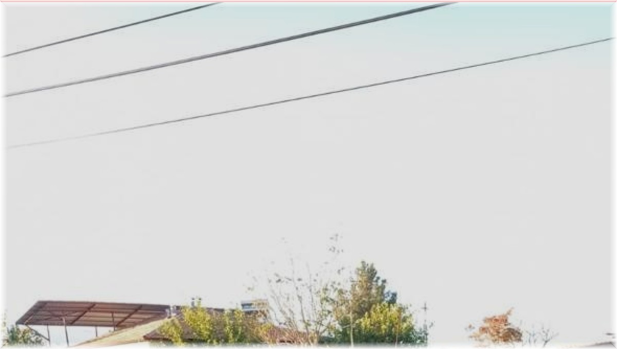 Alzheimer hastası yaşlı şahsı iz takip köpeği buldu