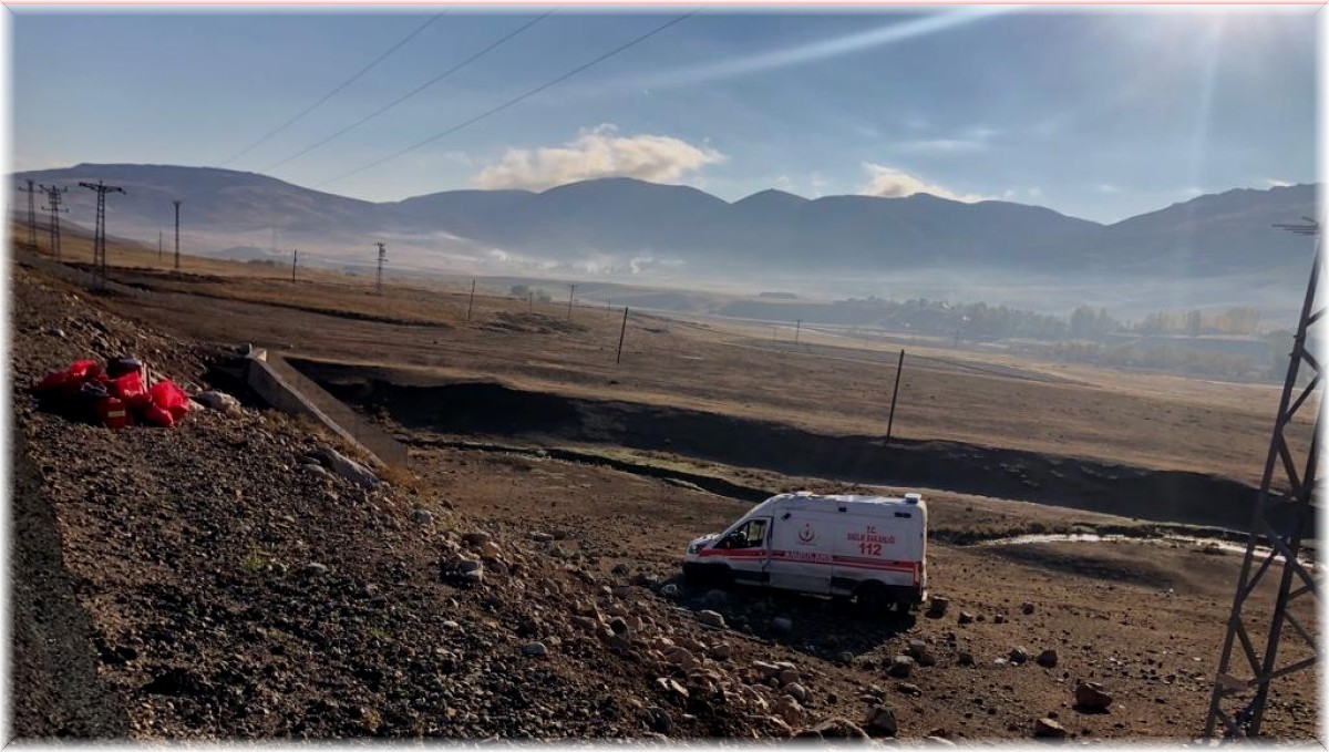 Ambulans sürücüsü köpeğe çarpmamak için direksiyonu kırdı, aracı şarampole yuvarlandı