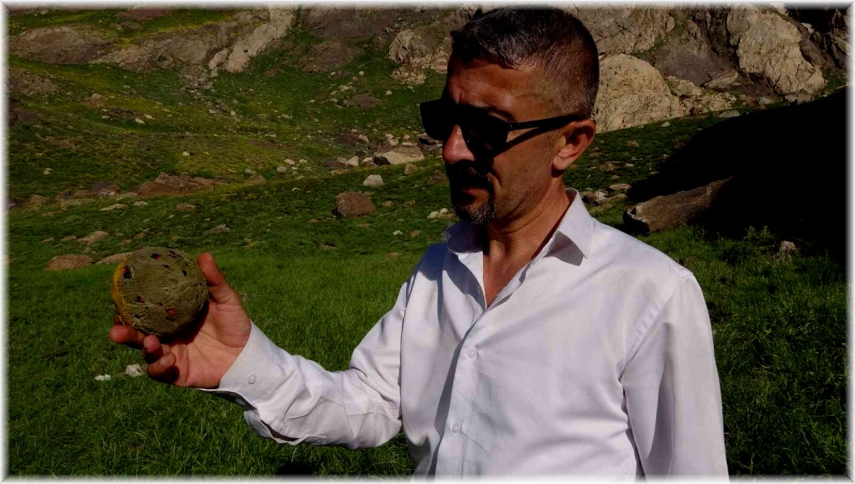 Amerikan beyzboluna rakip geleneksel beyzbol