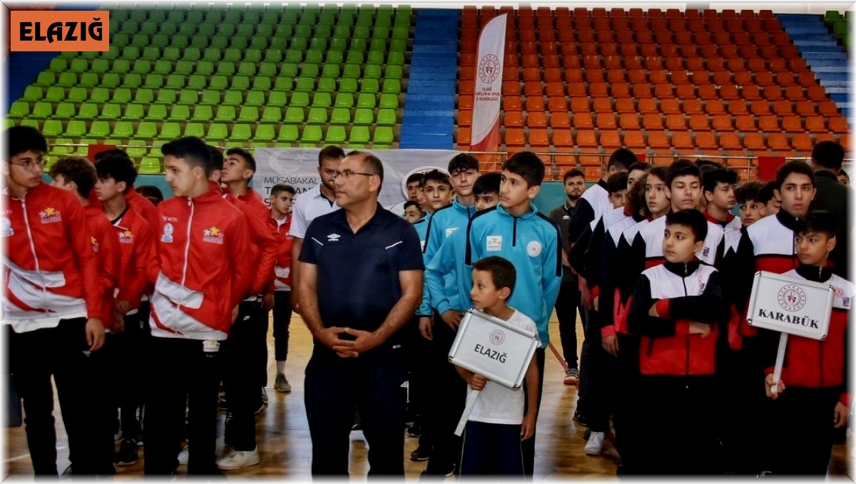 Analig Hentbol yarı finalleri Elazığ'da