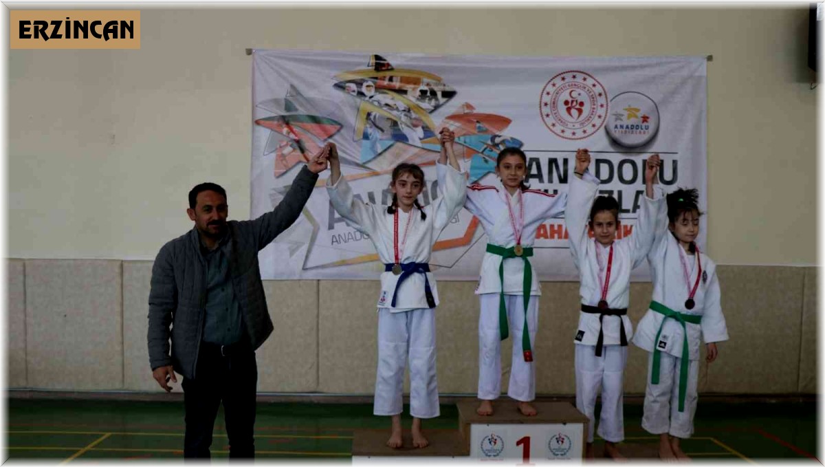 ANALİG Judo yarı final müsabakaları Erzincan'da yapıldı
