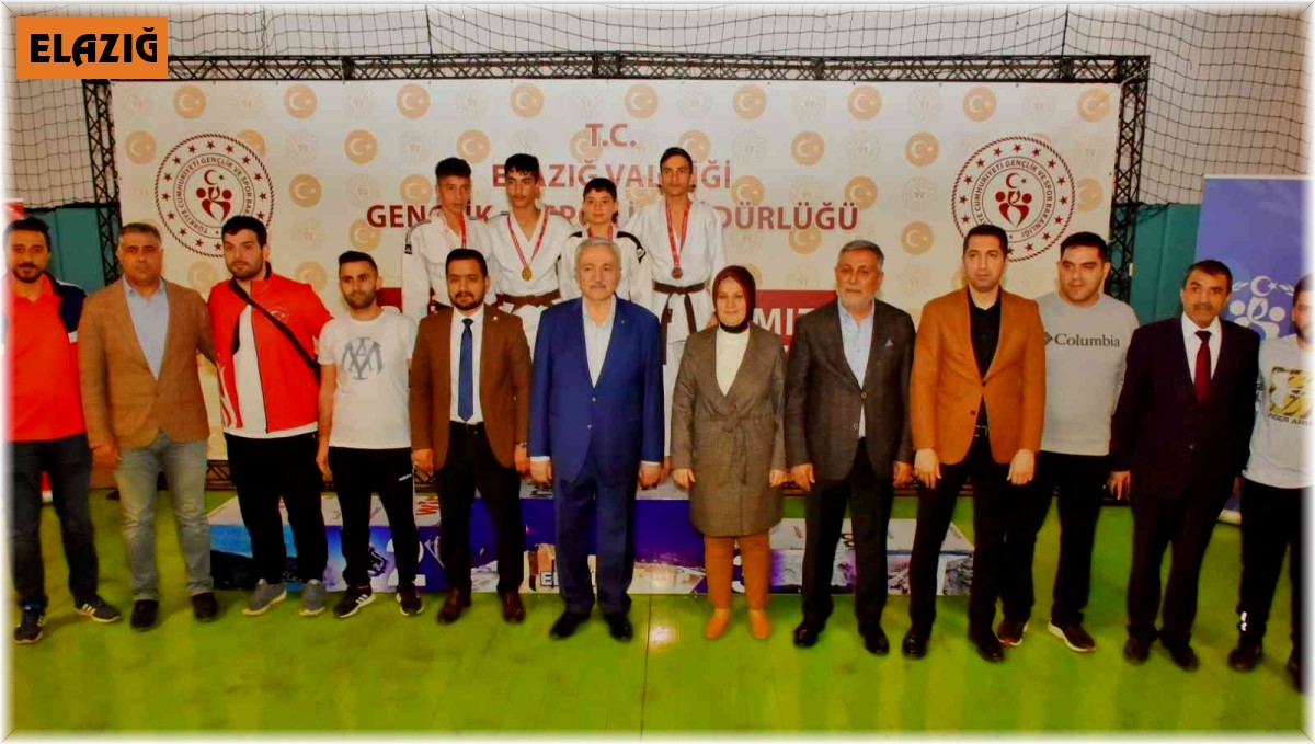 Analig Judo Yarı Finalleri Elazığ'da sürüyor
