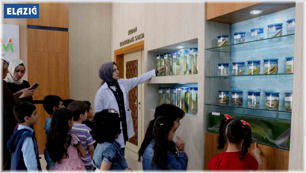 Anaokulu öğrencilerinden Balık Müzesine ziyaret