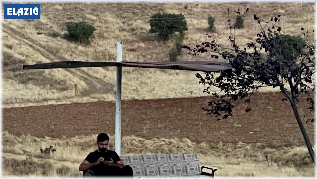 Anayolun kenarındaki kanepeli durağı görenler şaşırıyor