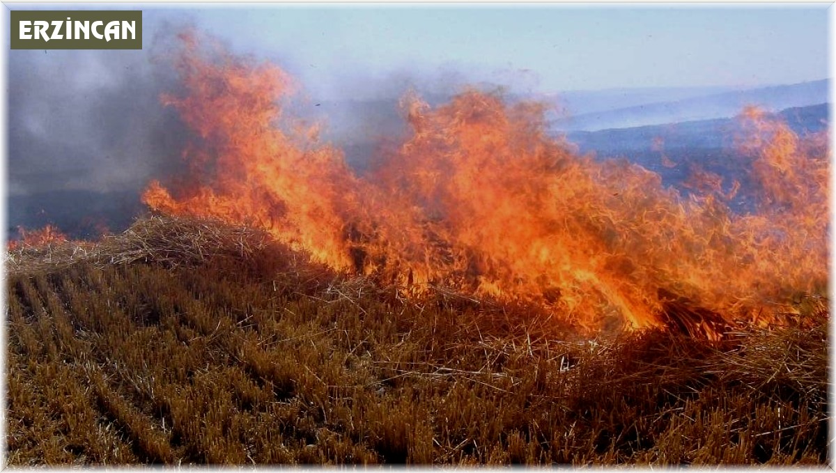 Anız yakma doğal dengeyi bozma