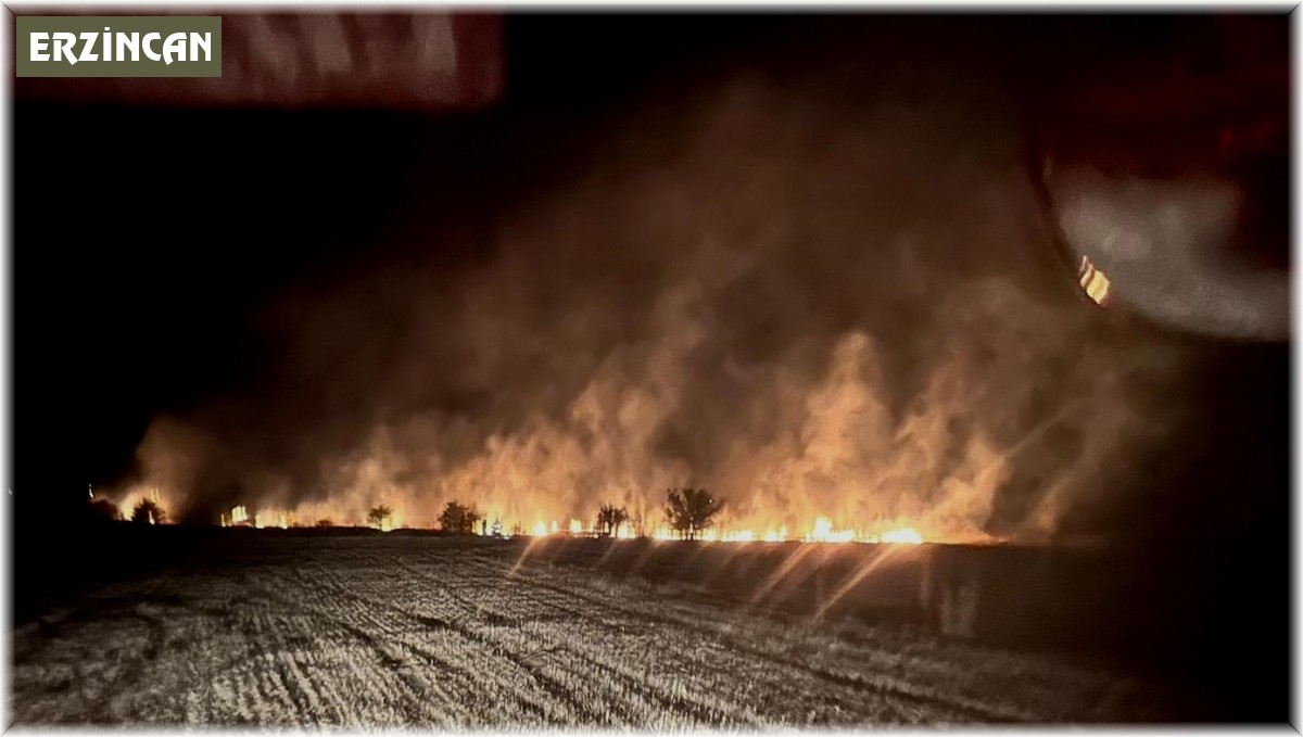 Anız yangını büyümeden söndürüldü