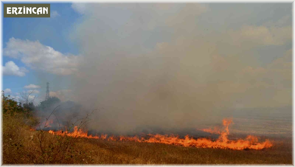 Anız yangını büyümeden söndürüldü