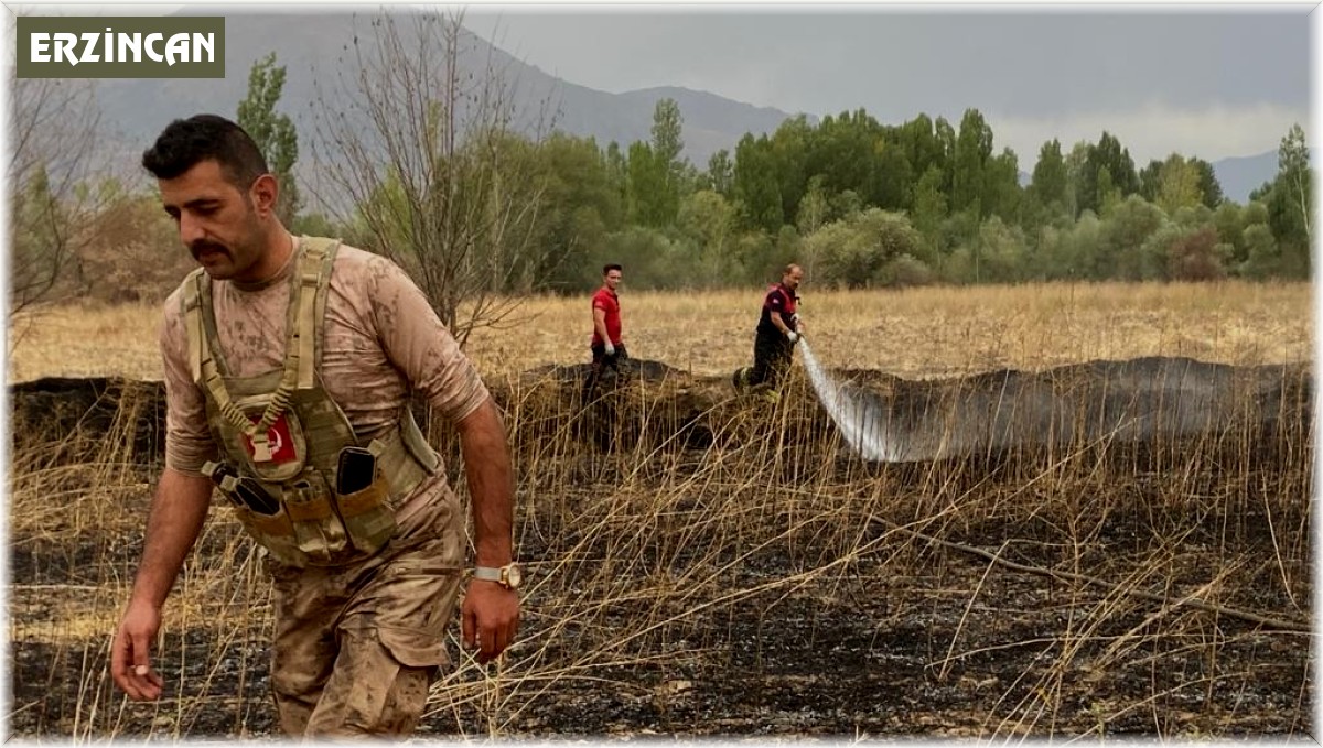 Anız yangını çevreye sirayet etmeden söndürüldü