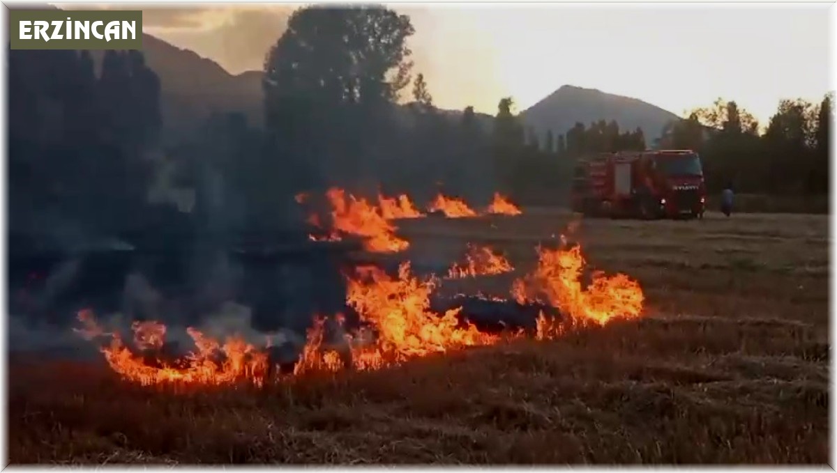 Anız yangını itfaiyenin müdahalesiyle söndürüldü