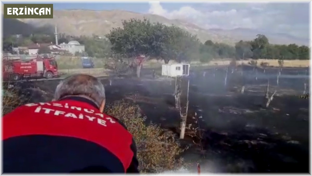 Anız yangını korkuttu