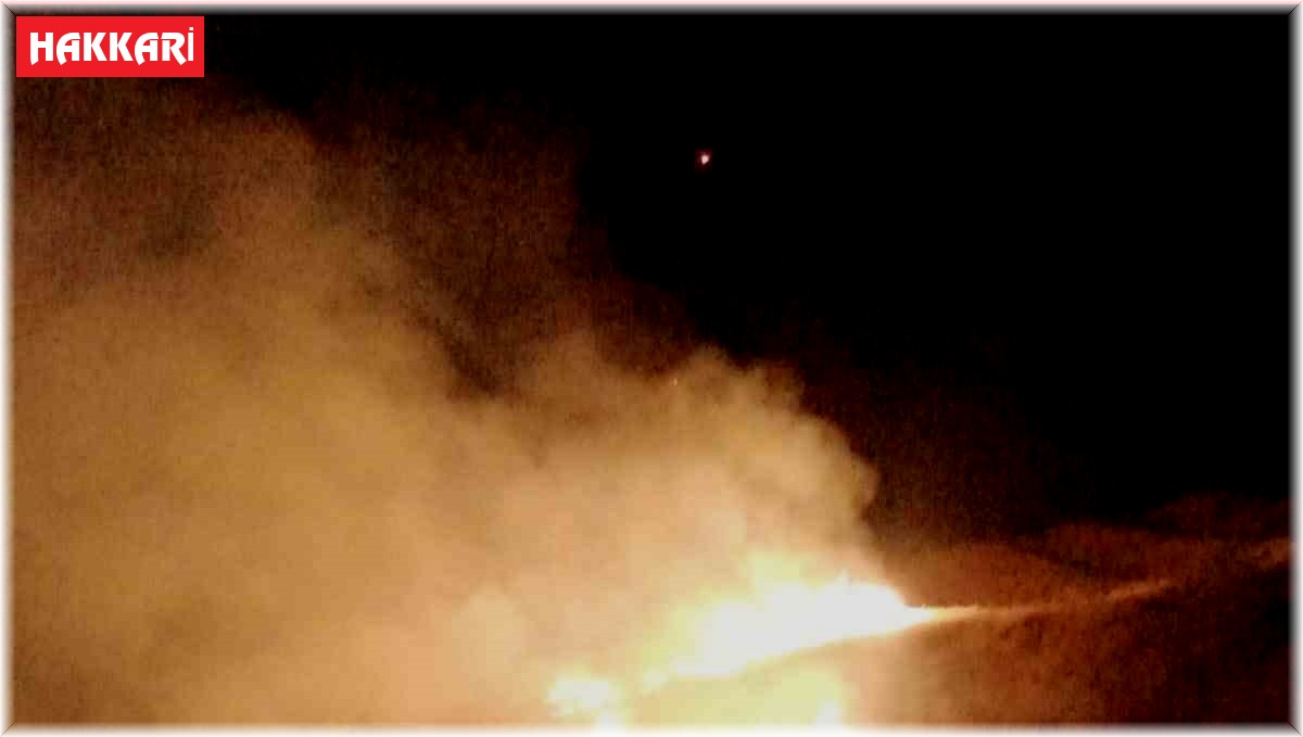 Anız yangınına itfaiye anında müdahale etti