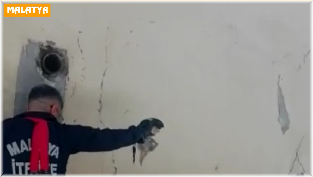 Anne kedi, yavrusu kurtarılırken bir an olsun başından ayrılmadı