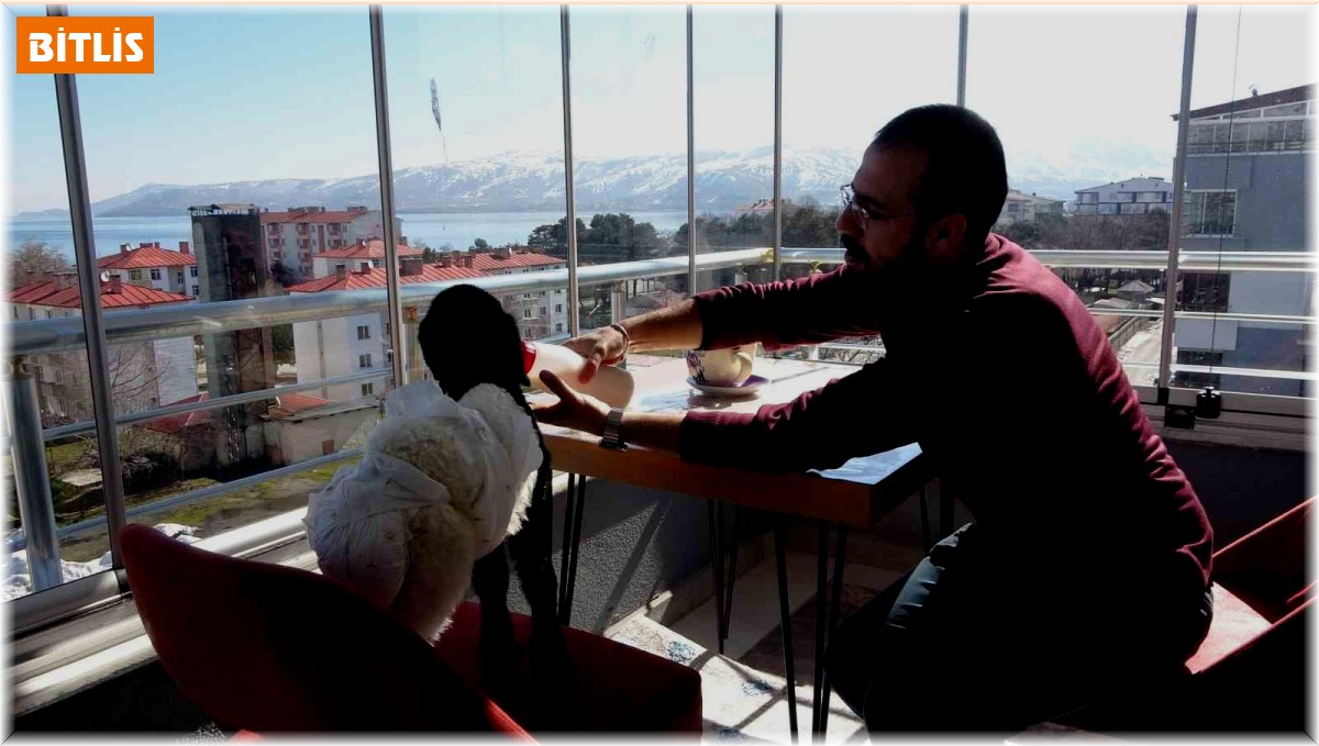 Annesinin reddettiği kuzuya bebek şefkati