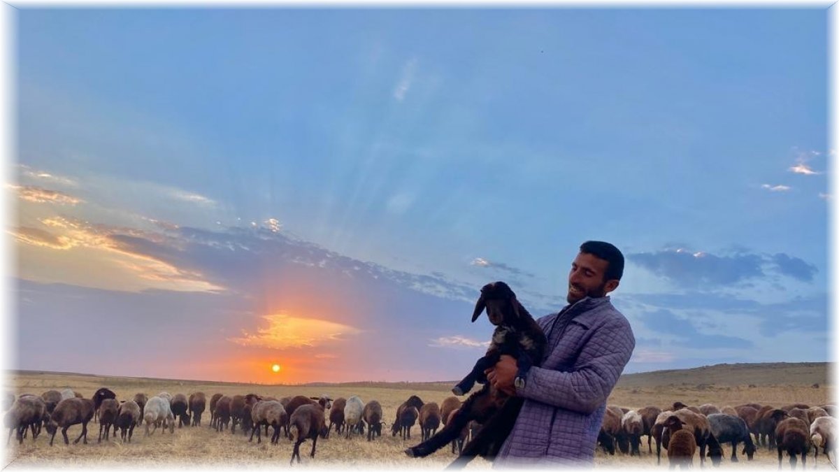 Annesiz kalan kuzunun annesi sandığı sahibiyle bağı duygulandırıyor