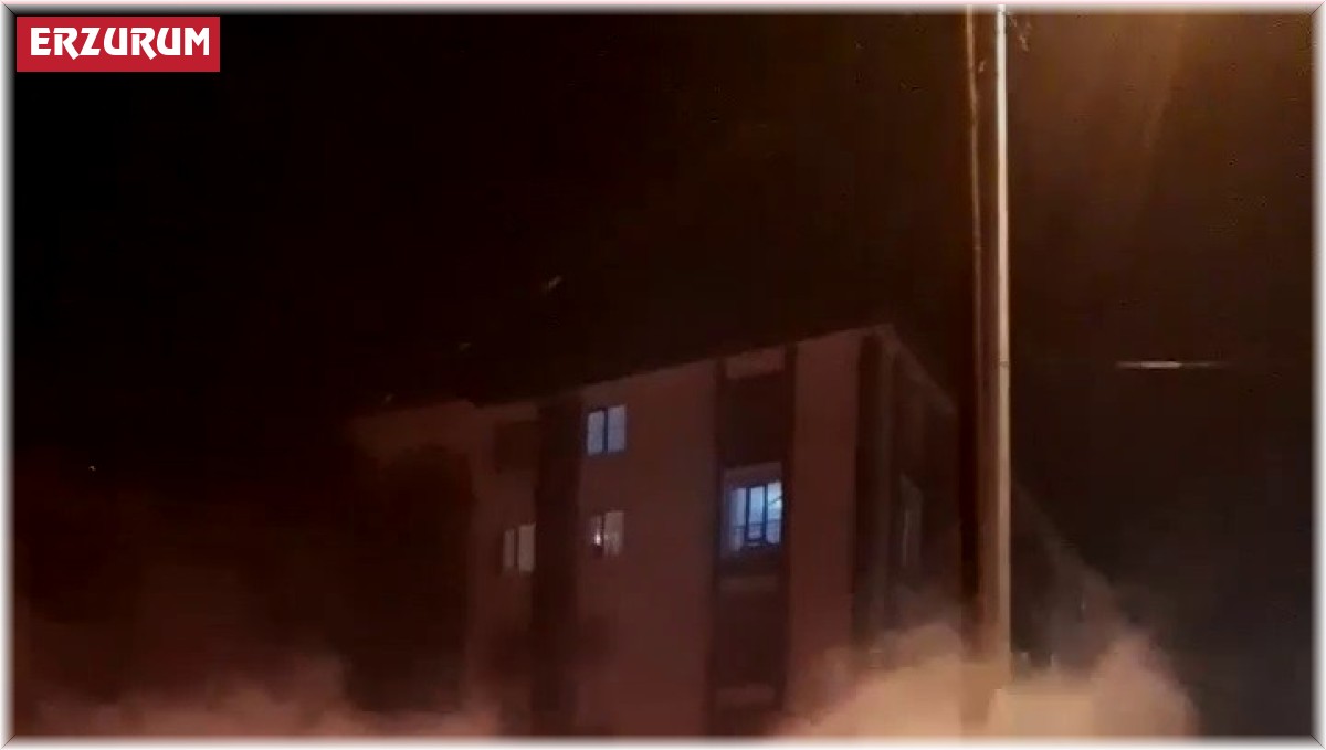 Apartmanın bahçesinde çıkan yangın geceyi aydınlattı