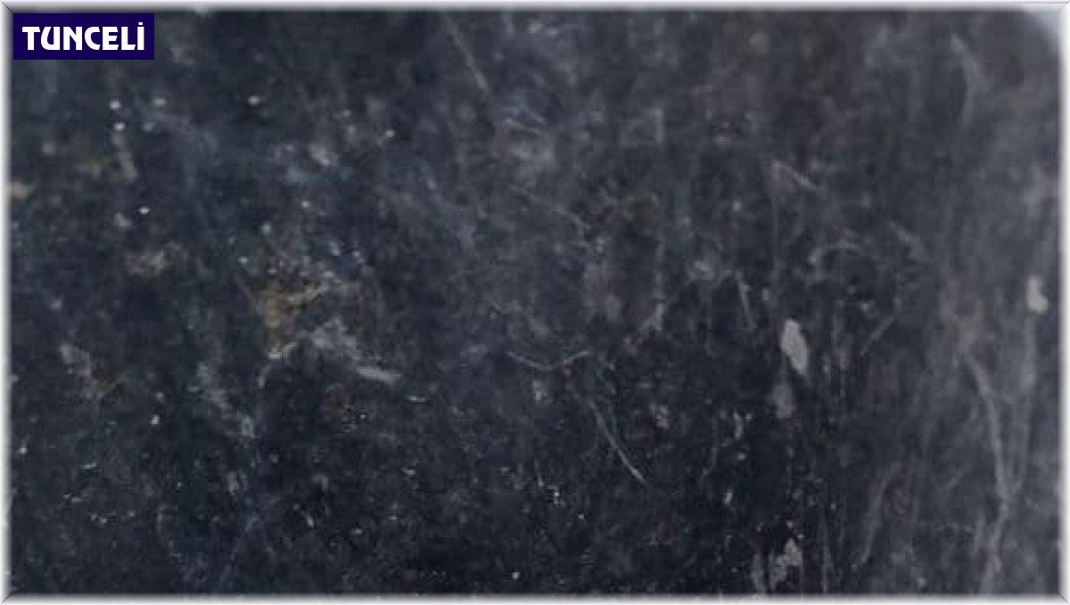 Araç içerisinde sıkışan dev yılan, ekipler tarafından kurtarıldı