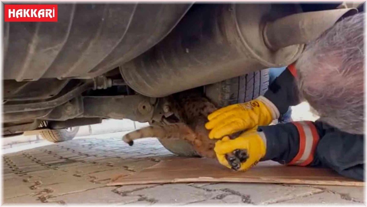 Aracın alt kısmında mahsur kalan kediyi itfaiye ekipleri kurtardı