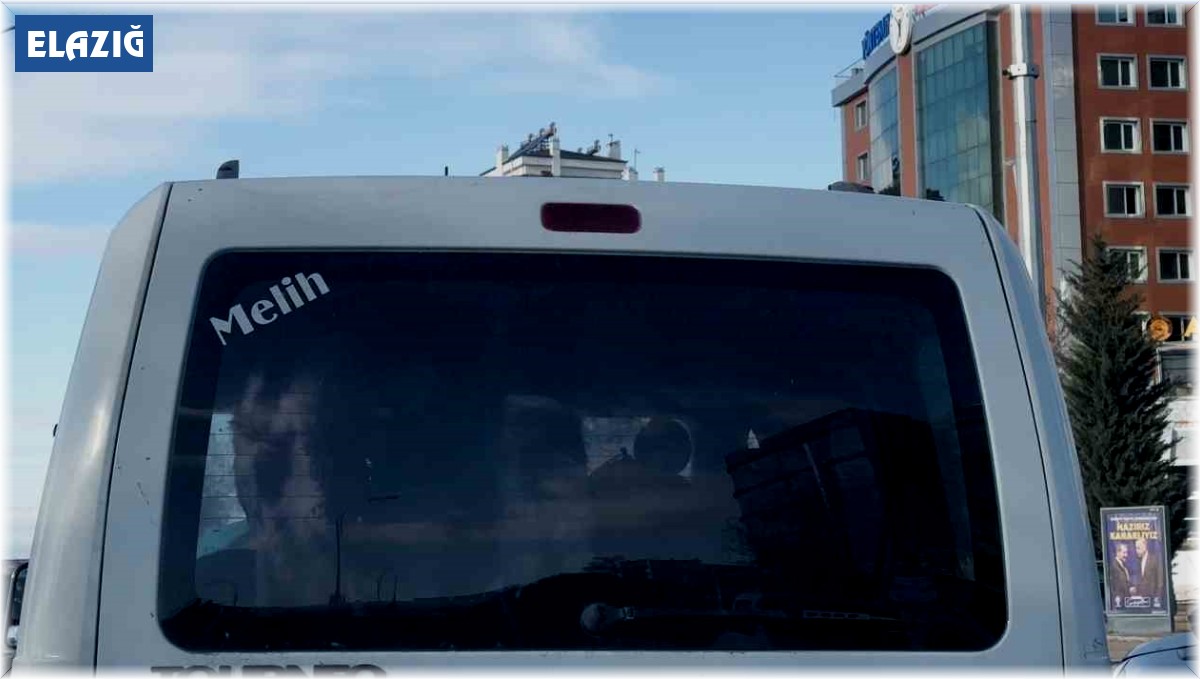 Aracın arka koltuğundaki buzağıyı görenler hayrete düştü