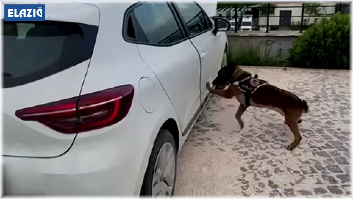 Aracın marşpiyeline zulalanmış uyuşturucu ele geçirildi: 4 tutuklama