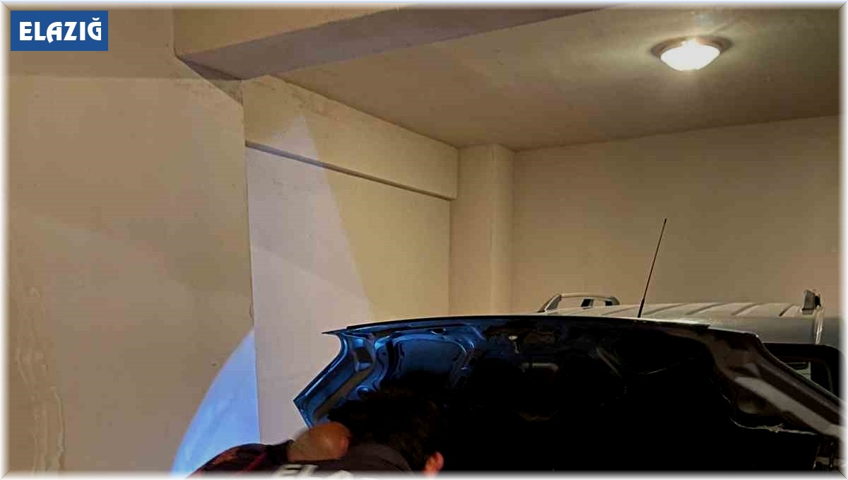 Aracın motoruna giren yılan, ekipler tarafından çıkartıldı