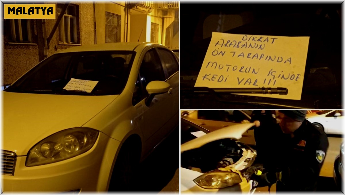 Aracın motoruna sıkışan kedi itfaiye ekipleri tarafından kurtarıldı