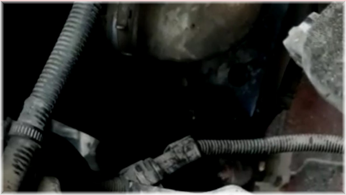 Aracın motoruna sıkışan yavru kedi, 2 saat süren çalışma ile çıkartıldı