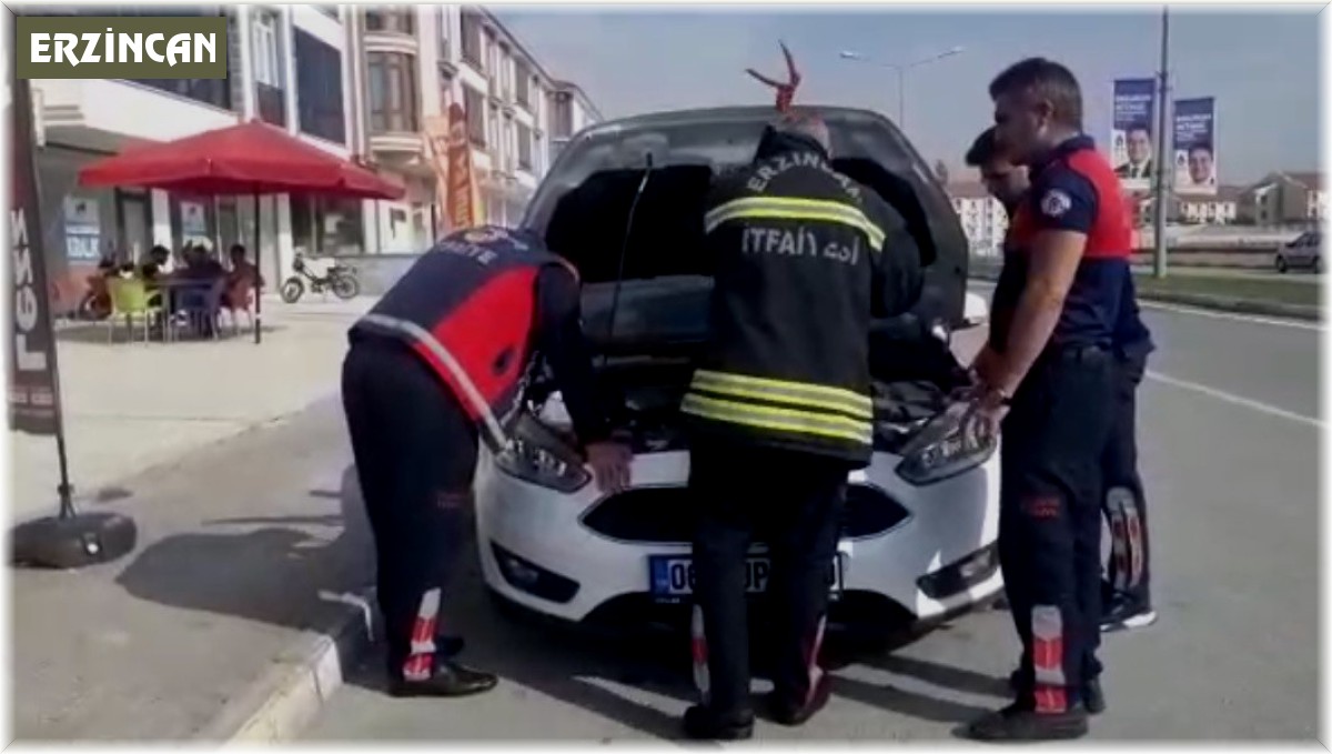 Aracın motoruna sıkışan yavru kediyi itfaiye kurtardı