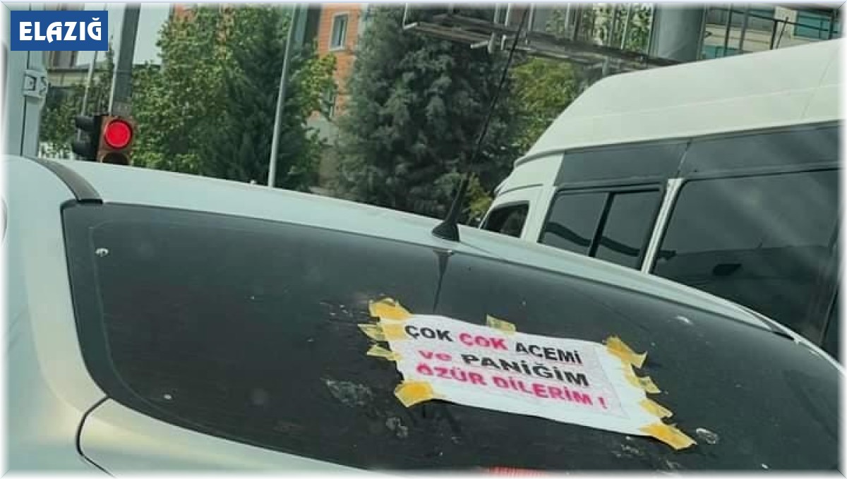 Aracına, 'Çok çok acemi ve paniğim özür dilerim' yazdı, trafiğe çıktı