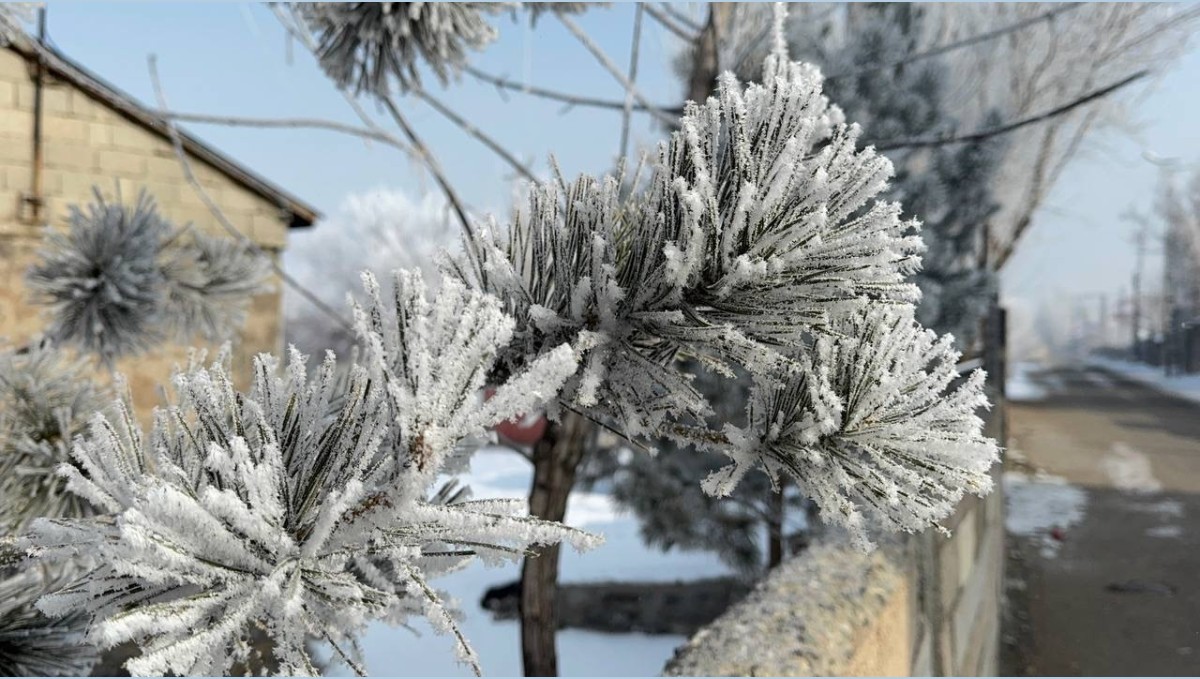 Araçlarını soğuktan korumak için battaniyelerle örtüyorlar