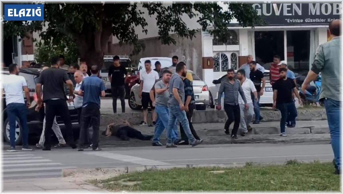 Araçtan indirdikleri şahsı öldüresiye dövdüler