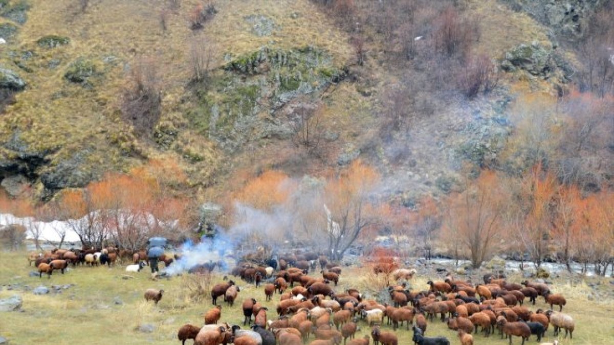 Aras Dağları'nda karlar erimeye başladı