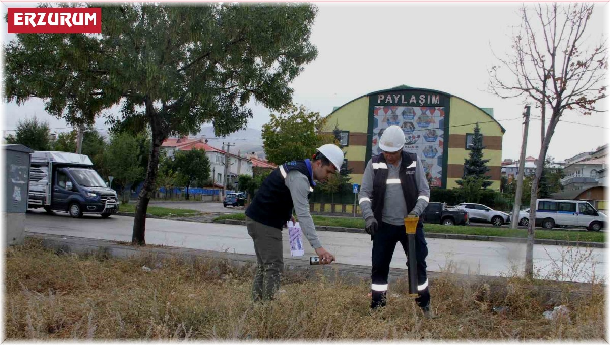 ARAS EDAŞ, altyapı çalışmalarına devam ediyor
