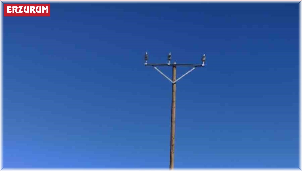 Aras EDAŞ'ın hırsızlarla başı dertte