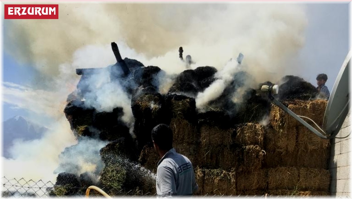 Aras Elektrik yardıma koştu