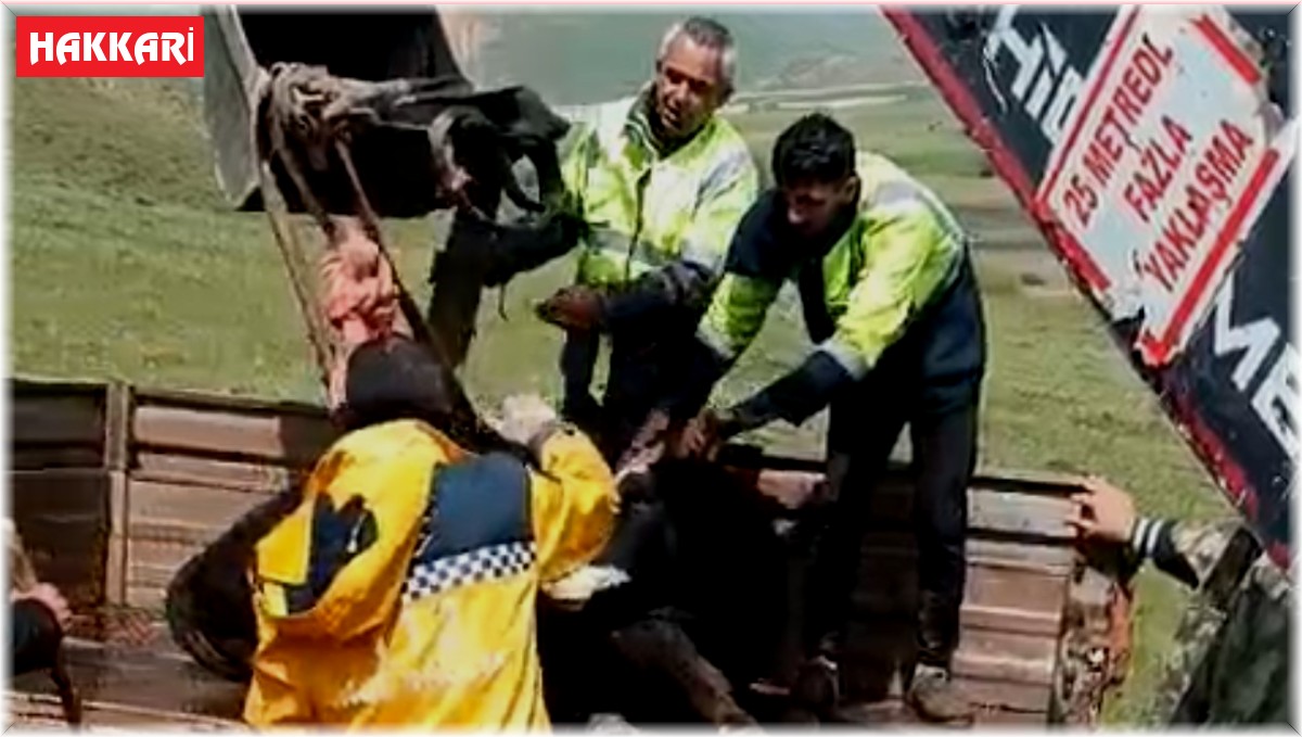 Arazide bitkin haldeki tosunu ekipler kurtardı