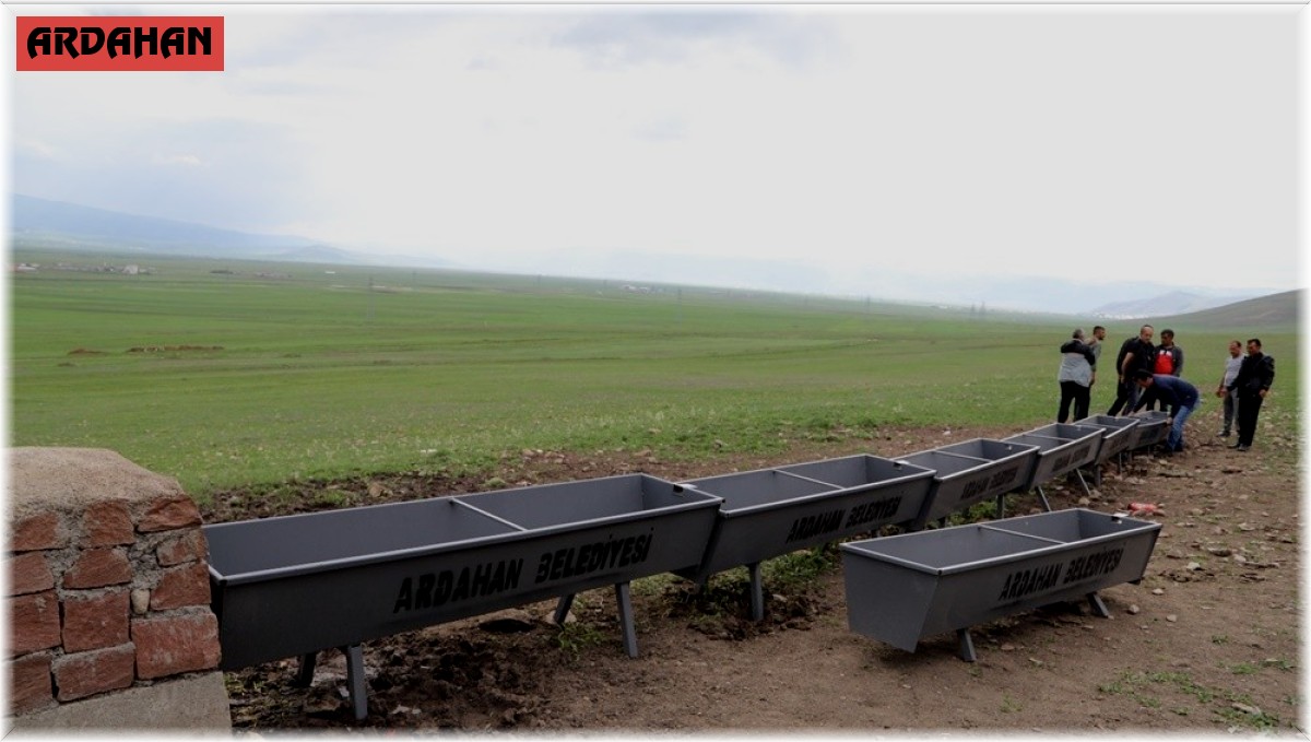 Ardahan Belediyesi, hayvanlar için sıvat üretti